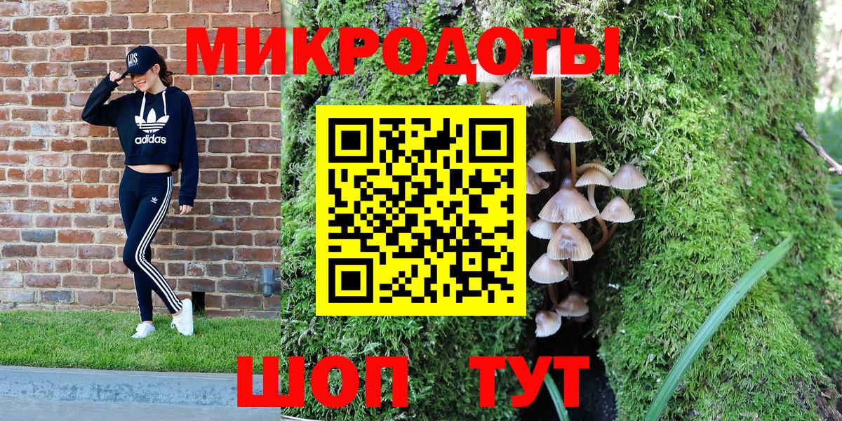 Глазов  Псилоцибиновые грибы мицелий  Вход с VPN  что такое наркотик  Галлюциногенные грибы MAGIC MUSHROOMS 